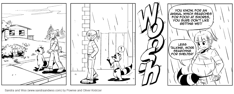 [0026] Rain